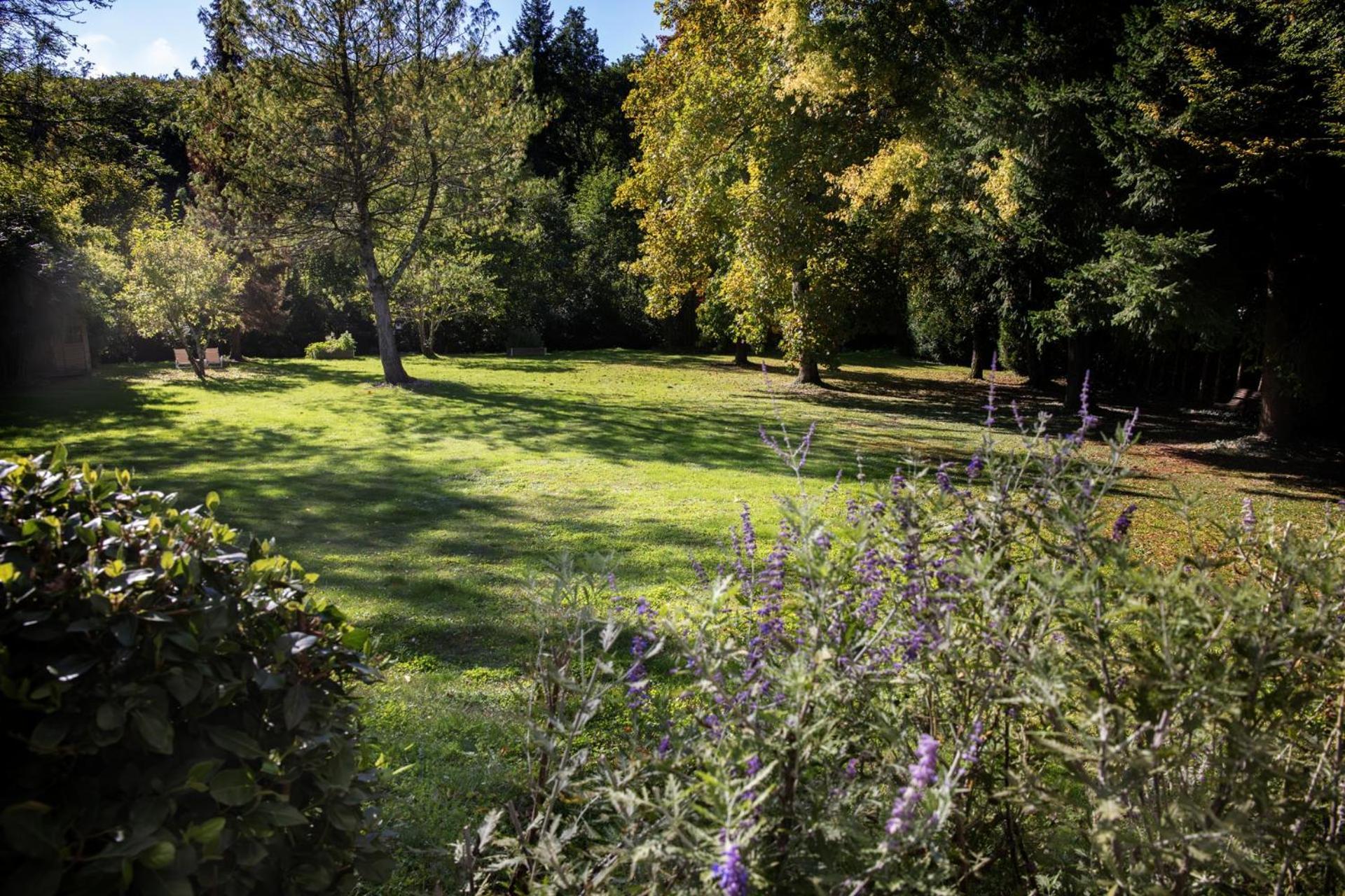 L'Aubiniere Hotel Restaurant & Spa Saint-Ouen-les-Vignes Zewnętrze zdjęcie
